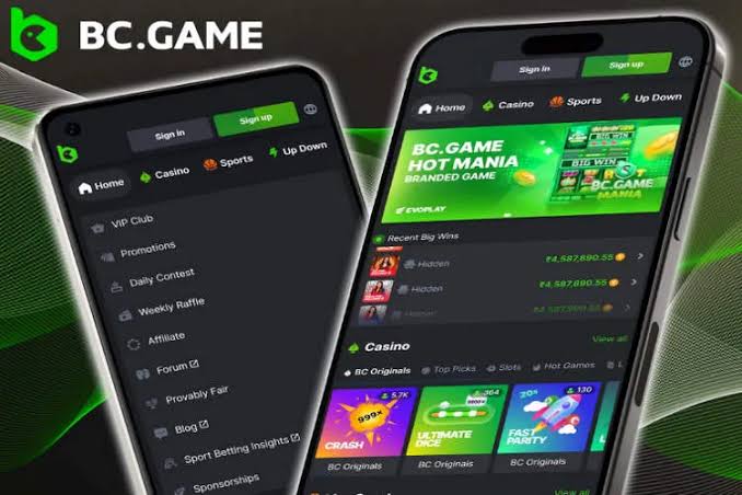 Comprehensive Guide to BC.Game Support 889572895