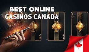 Discover the Best Online Casinos Your Ultimate Guide -239582761 Discover the Best Online Casinos Your Ultimate Guide -239582761