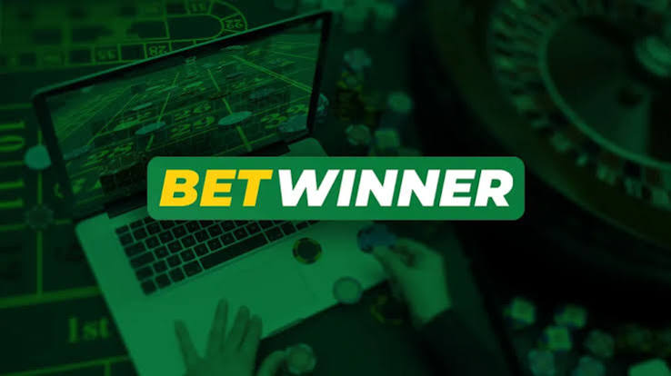 In-Depth BetWinner Review Your Go-To Gambling Platform